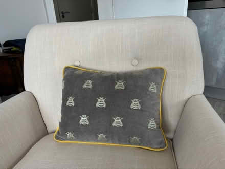 Photo of free Cushion for bee lovers (Horsham RH12 1) #1