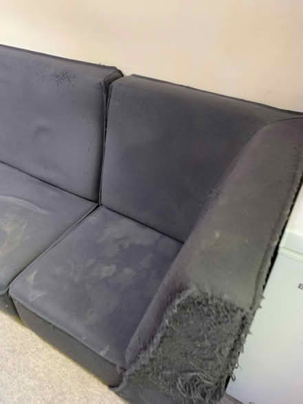Photo of free Well loved Cubit designer sofa (Edinburgh, Broughton, EH3) #4