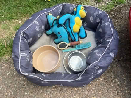Photo of free Dog bed, bowls, toys and brushes (warwick CV34) #1