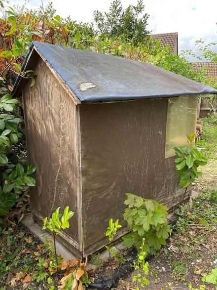 Photo of free Children's playhouse (Wymondham NR18) #2