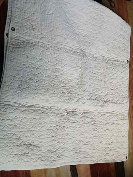 Photo of free Single bed mattress topper (South Bretton) #1