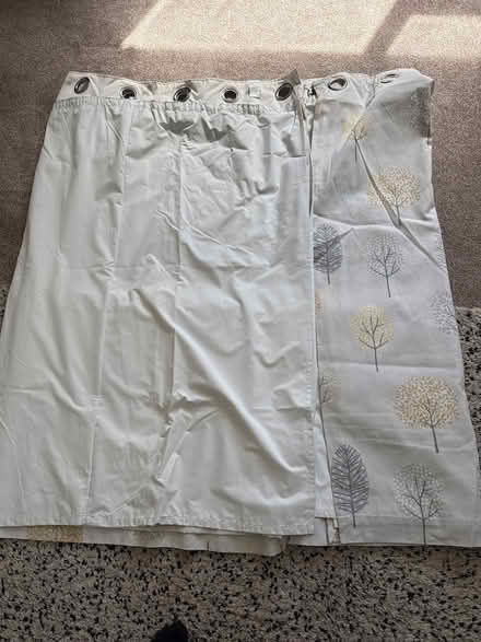 Photo of free dunelm curtain (Elmdon Heath B91) #2