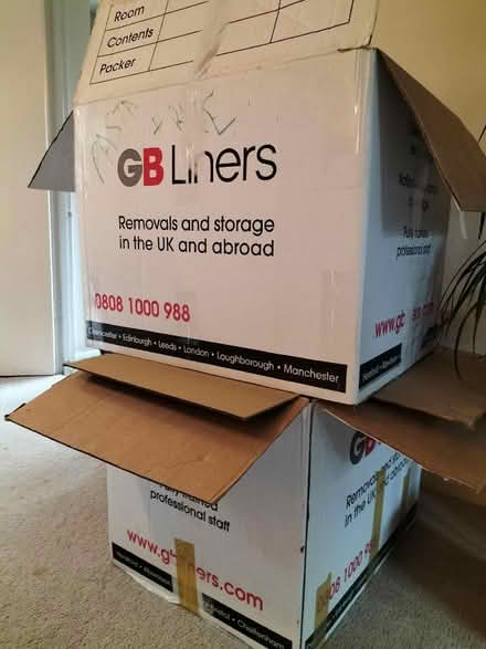 Photo of free Moving Boxes (Blackboys TN22) #1