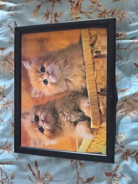 Photo of free Tray (Hollingdean BN1) #2