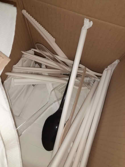 Photo of free Napkins, straws, & cutlery (Buckingham Park HP19) #1