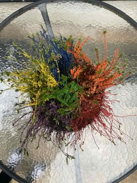 Photo of free colorful heather (Whyteleafe) #2