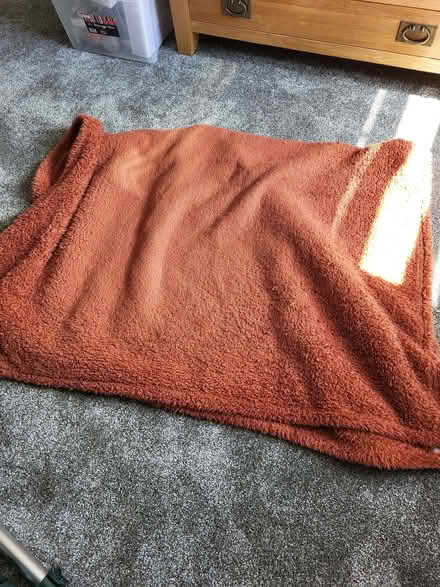 Photo of free 2 teddy bear throws (Upton CH2) #1