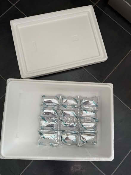 Photo of free Polystyrene cool box and cold pack (Welling DA16) #1