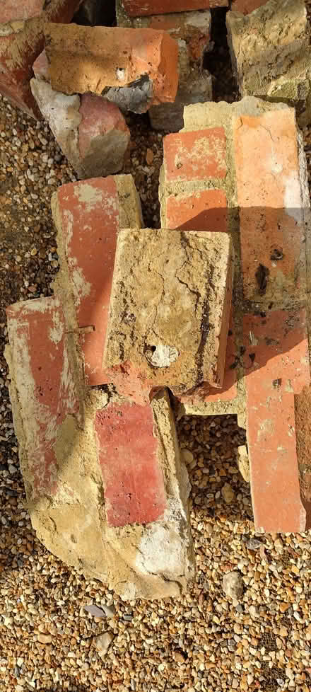 Photo of free few old bricks for hardcore (St Helens TN35) #4