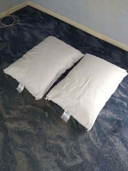 Photo of free 2x Fogarty pillows (Irish Fields LS21) #1