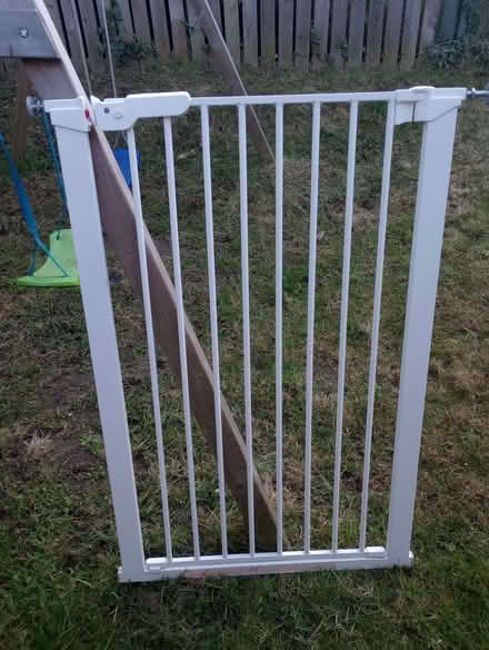 Photo of free Pet door gate (Kinghorn KY3) #1