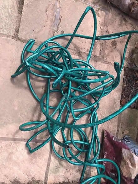 Photo of free Garden hose (Bear Flat) #1