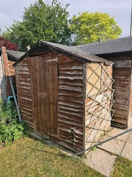 Photo of free Small shed (Woodley RG5) #1