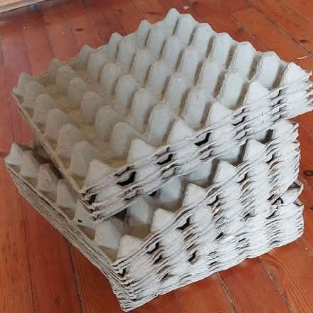 Photo of free Papier-mache trays (for eggs or for packing) (Marchmont EH9) #1