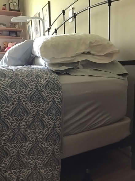 Photo of free Queen size bed and mattress (Warminster) #1