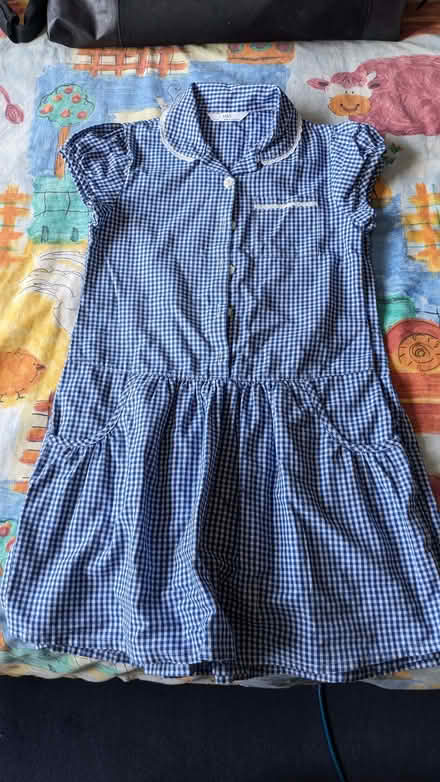 Photo of free Summer school dresses size 6 - 7 (Knighton LE2) #2