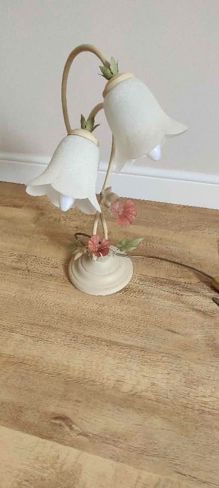 Photo of free Collection of 2 table lamps and 2 ceiling lights (Willingdon BN20) #3