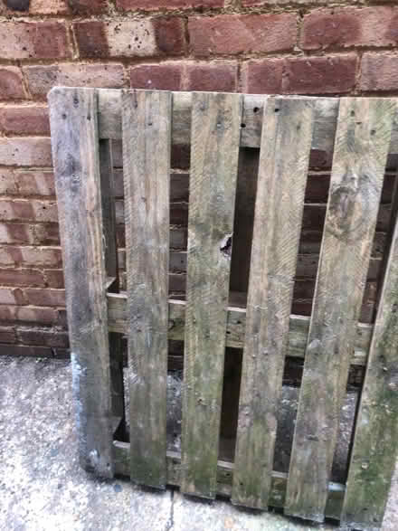 Photo of free Strong pallet (WD25 Leavesden) #2
