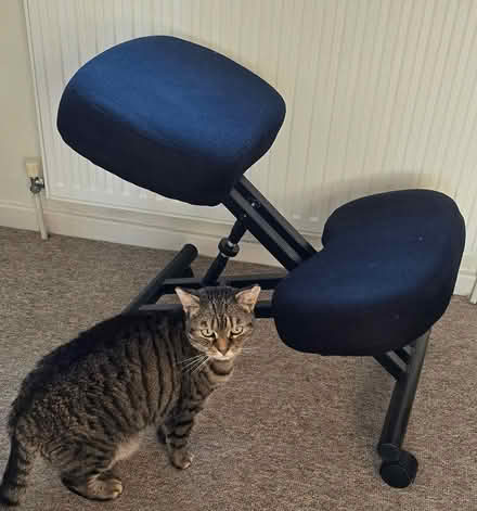 Photo of free Kneeling Chair (Ramsey) #1