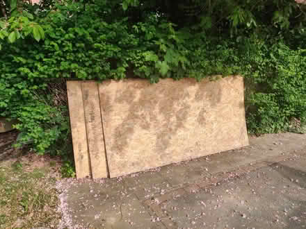 Photo of free 3x OSB wood sheet (Beeston NG9) #1
