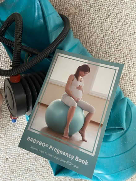 Photo of free Pregnancy ball (Stratford, E15) #1