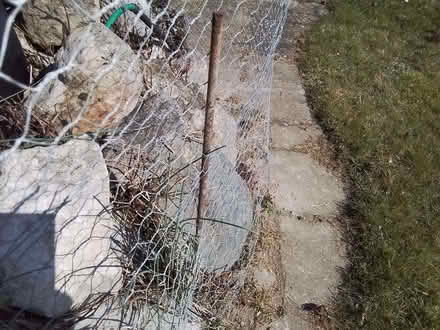 Photo of Metal stakes (Blackmore End CM7) #2