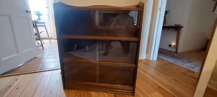 Photo of free Bookcase (Gowkshill EH23) #1