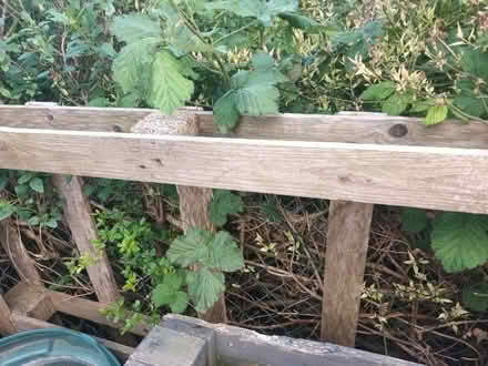 Photo of free 2 x Pallets (CT15) #4