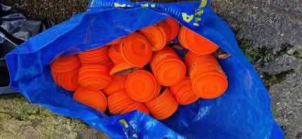 Photo of free Clay pigeons (Carrowdore BT22) #1