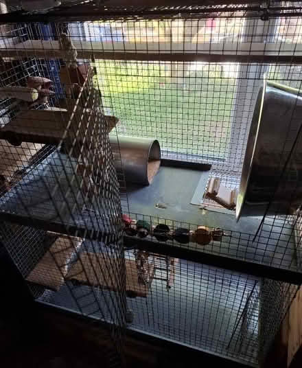 Photo of free Two story cage for degus, rats or a chinchilla. (Kirkby Thore CA10) #2