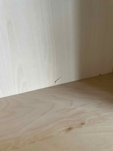 Photo of free Birch ply shelves - Billy Bookcase (Knighton LD7) #3