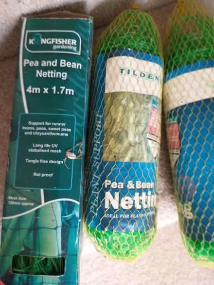 Photo of free Pea and bean netting (Endmoor LA8) #1