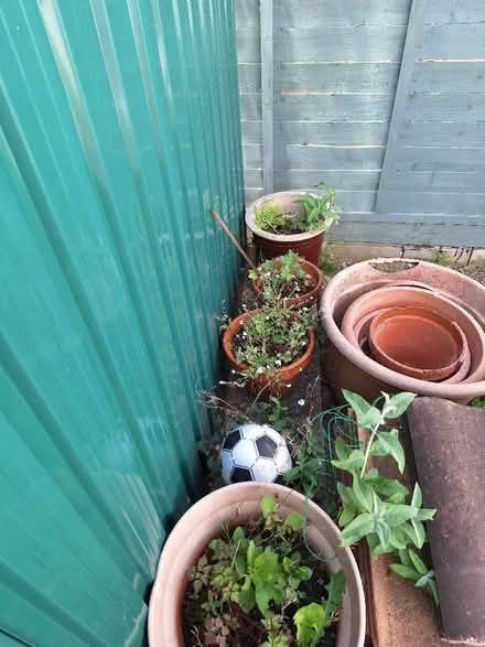 Photo of free Garden items - mostly one lot (Leckhampton GL53) #2