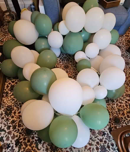 Photo of free Inflated balloons - green and white (Clevedon BS21) #1