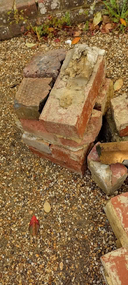 Photo of free few old bricks for hardcore (St Helens TN35) #2