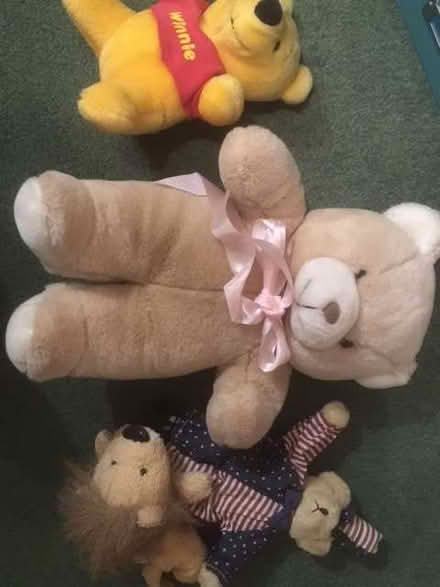 Photo of free 4 soft toys (Queens Park CM12) #1