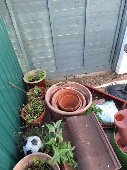 Photo of free Garden items - mostly one lot (Leckhampton GL53) #3