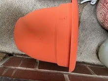 Photo of free Pots (Medium, small) (UES) #1