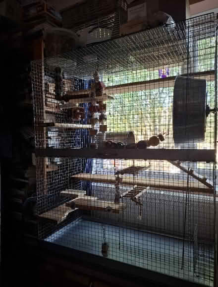 Photo of free Two story cage for degus, rats or a chinchilla. (Kirkby Thore CA10) #1