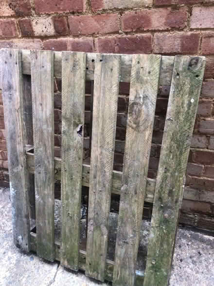 Photo of free Strong pallet (WD25 Leavesden) #1