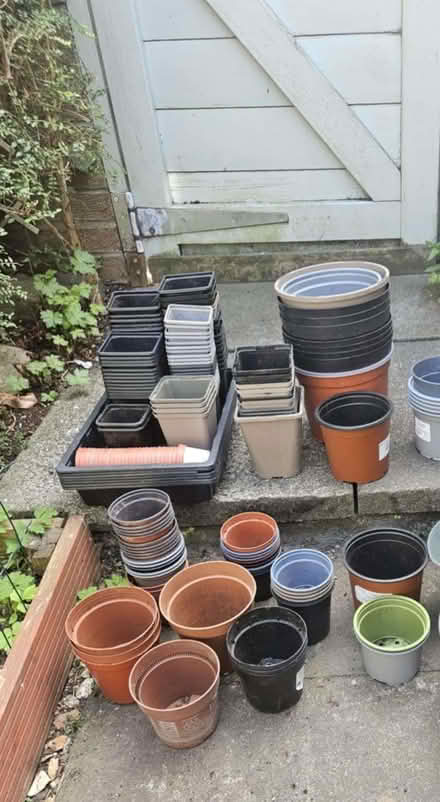 Photo of free Assorted garden pots, seed pots, potting on and trays (Slatyford NE5) #1