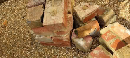 Photo of free few old bricks for hardcore (St Helens TN35) #3