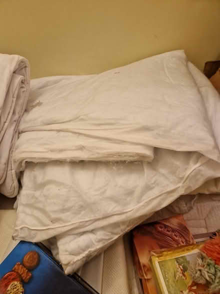 Photo of free 4 x single duvets (Godstone) #3