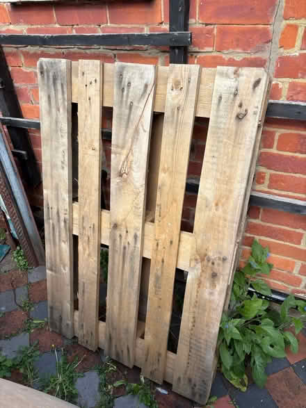 Photo of free Wood Palate (RG30) #1