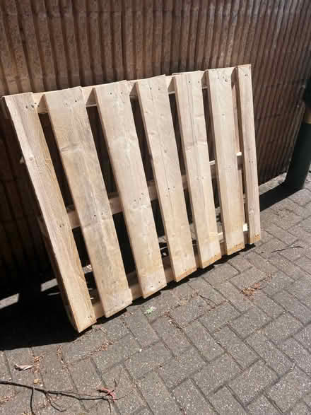Photo of free Heavy clean pallet (Dronfield S18) #1