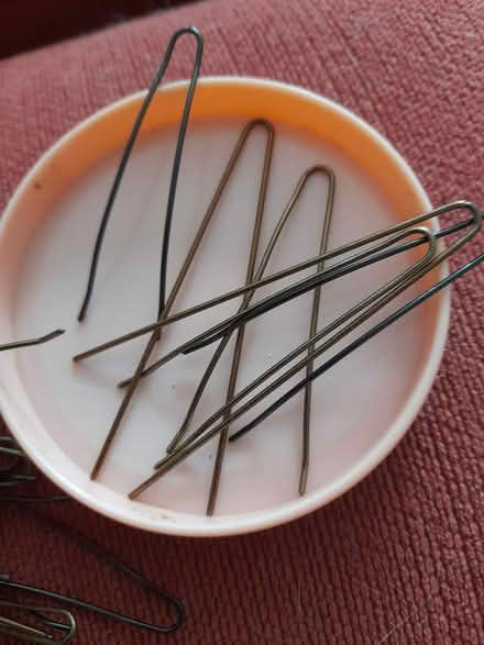 Photo of free Traditional Hair Grips (Newtown, Exeter) #1