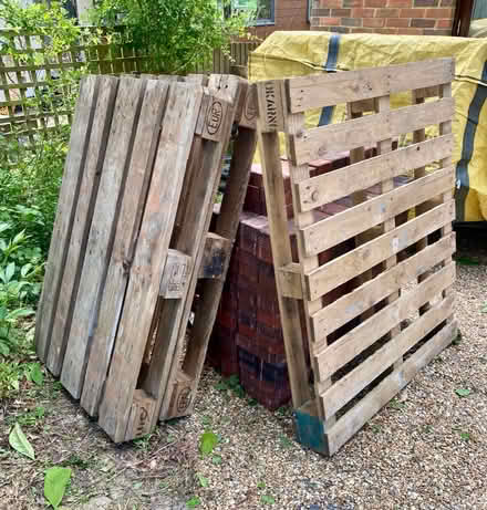 Photo of free X3 Pallets (Balcombe, RH17) #1