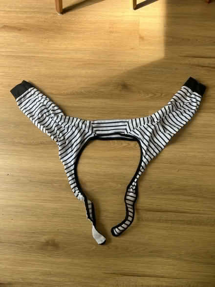 Photo of free Dog shirt (for hot spots, post op) (Meadowbrook, North Seattle) #1