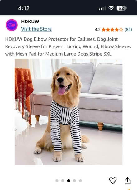 Photo of free Dog shirt (for hot spots, post op) (Meadowbrook, North Seattle) #3