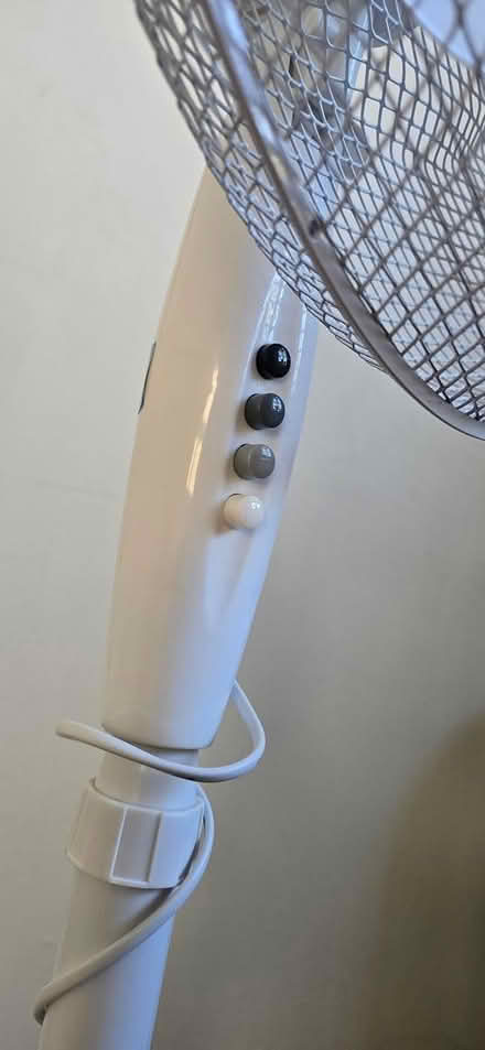 Photo of free Fan (Ramsey) #2